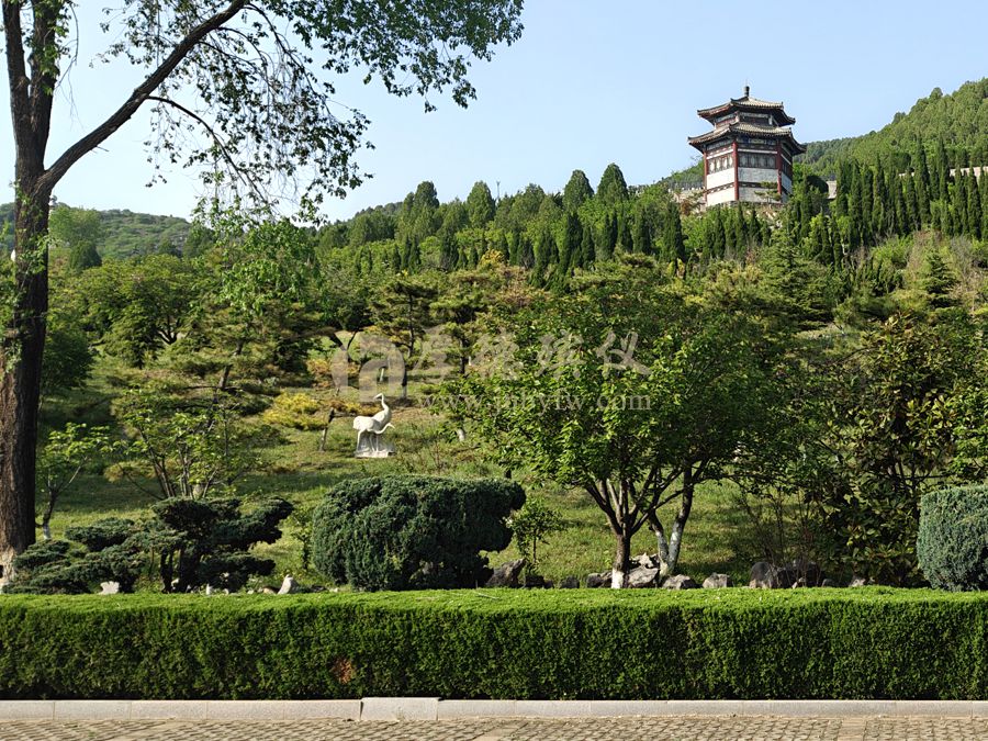 功6 (2).jpg