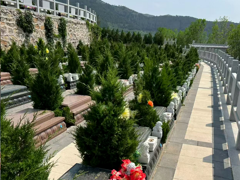 骨灰安葬进墓穴的的详细步骤，注意事项一文说透