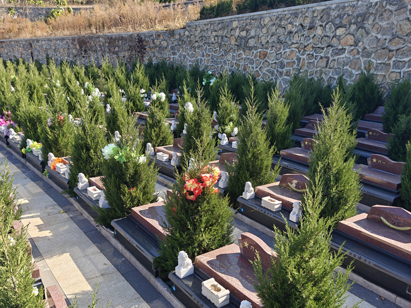 骨灰安葬进墓穴的的详细步骤 骨灰安葬进墓穴的的详细步骤